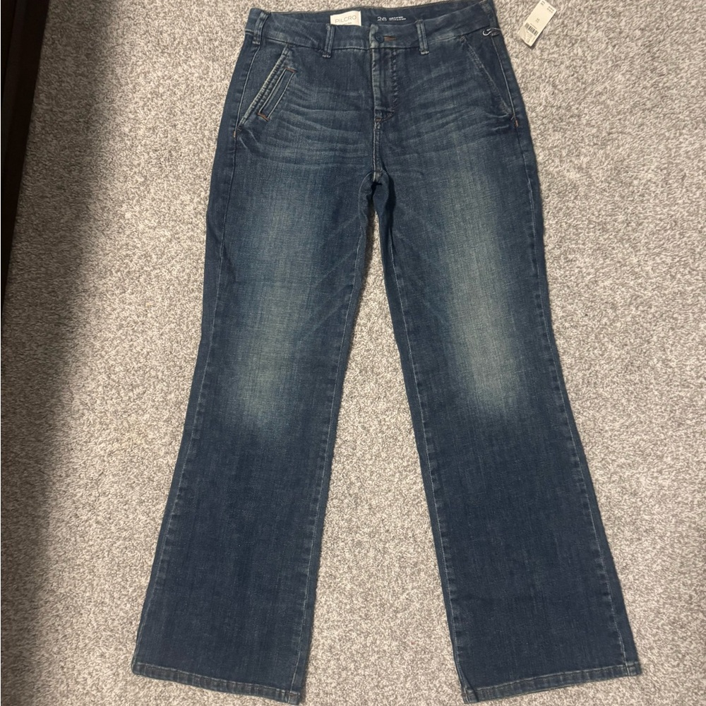 Anthropology Pilcro le brun Low Rise Flare Jeans